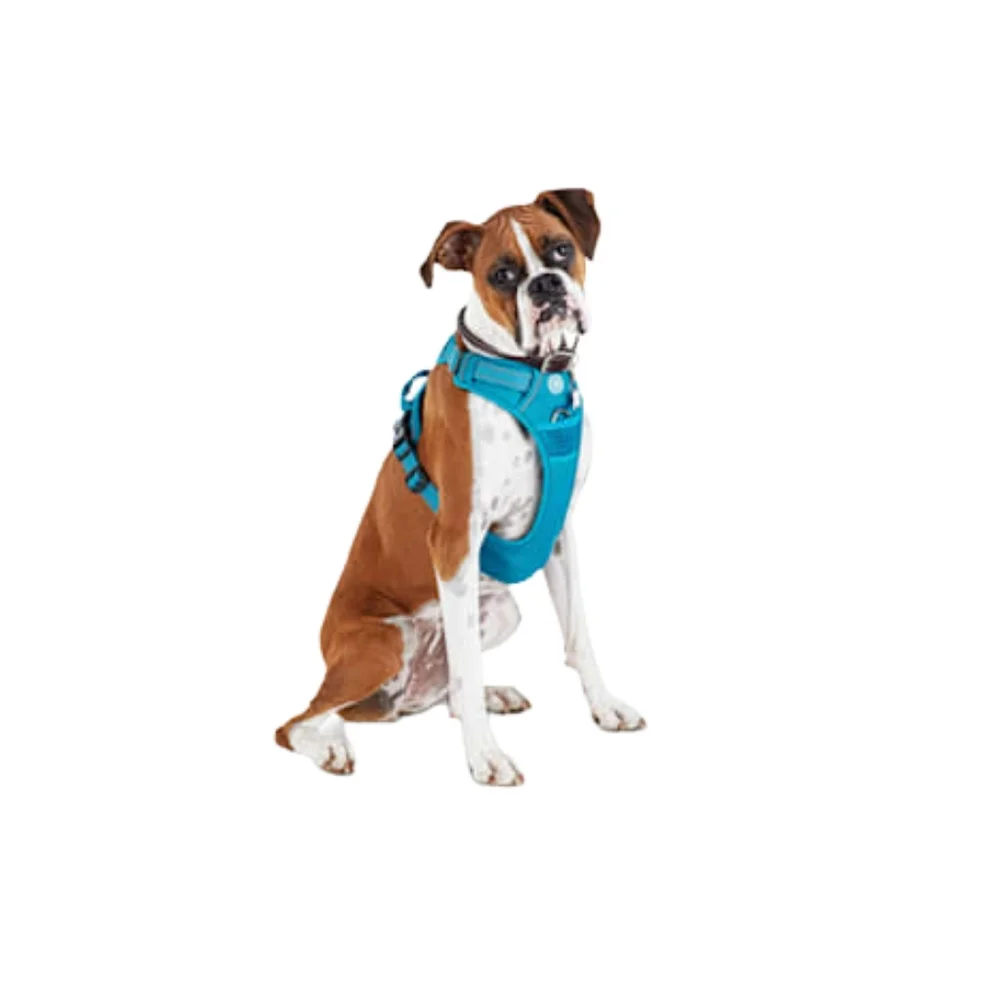 Good2Go Blue Front Walking Dog Harness-L
